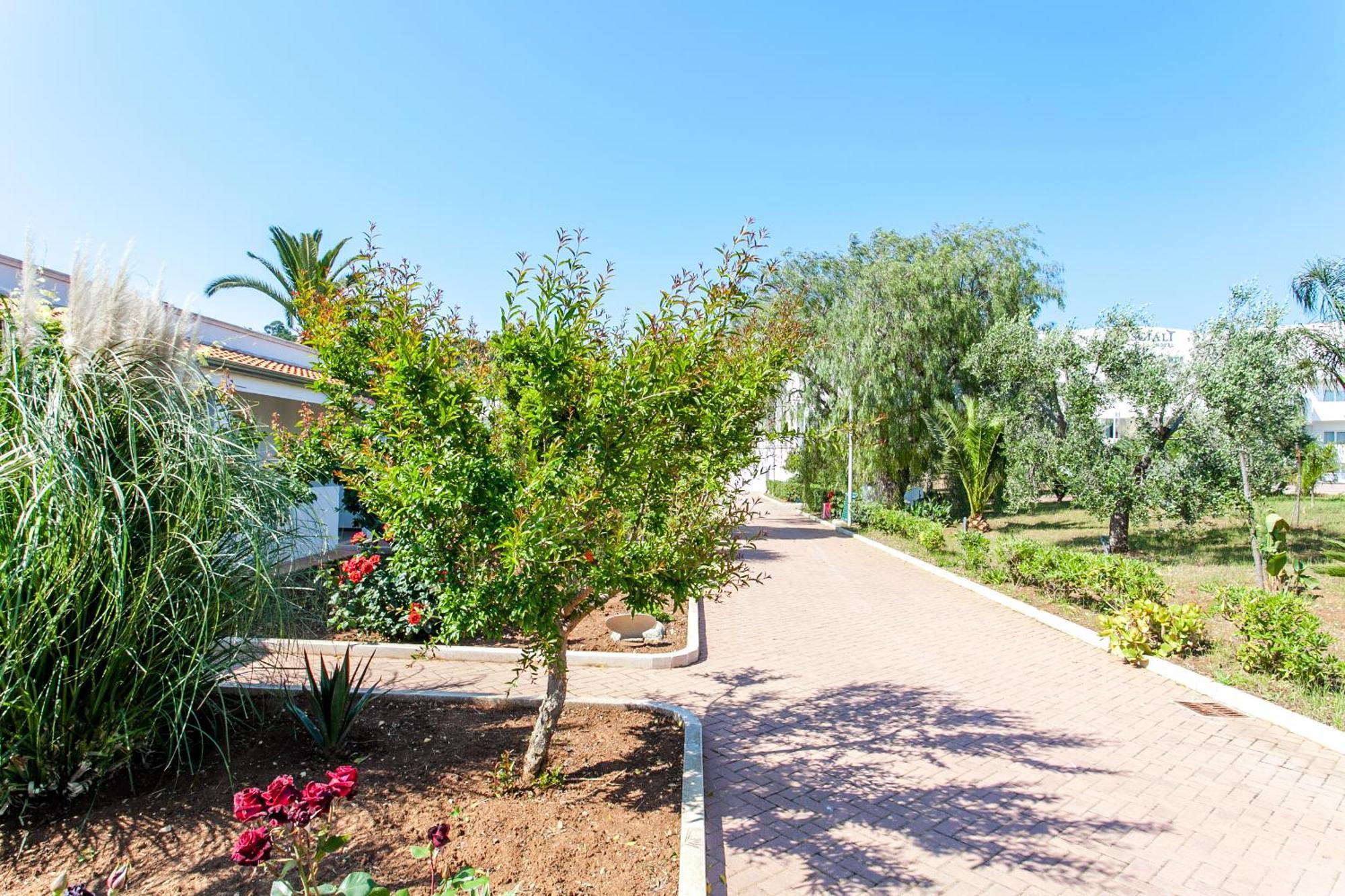 Sciali Hotel